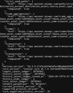 A dark screenshot displaying lines of code or configuration data, including references to 'mainnet.minteri.com', version numbers '26.0.0', 'Pi Network', and other technical parameters.
