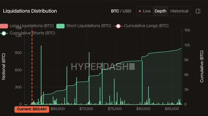A "Liquidations Distribution" chart for BTC/USD showing massive short liquidation clusters stacked between $60,461 and $70,000, with cumulative shorts climbing steeply toward ~12k BTC—visually confirming the claim that whales are heavily shorted and primed for a squeeze higher.