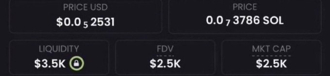 The image displays cryptocurrency stats showing a price of $0.05, 3.5K liquidity, $2.5K FDV, and $2.5K market cap, which relates to the post's mention of a low-cap meme coin with high potential.