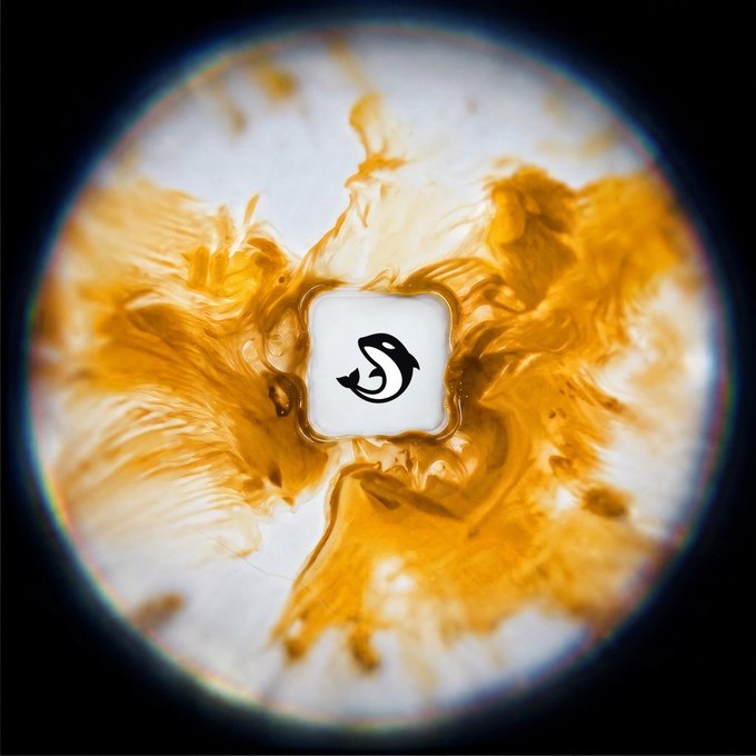 Artistic macro photograph showing a stylized fish icon logo in the center, surrounded by swirling orange and white ink-like patterns against a black background.