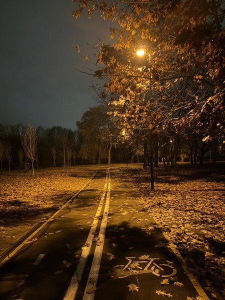 A nighttime scene of a paved bike path covered in golden autumn leaves, illuminated by a glowing streetlamp through trees with a painted bicycle symbol visible on the path.