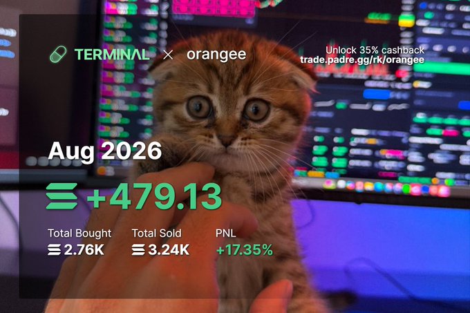 A cute brown tabby kitten sits in front of trading monitors displaying portfolio metrics for "oranee" on Terminal, showing a Aug 2026 gain of "+479.13" with a PNL of +17.35%. The image humorously celebrates the poster's return to trading and strong earnings, using the adorable wide-eyed kitten to convey their excitement after a profitable period.