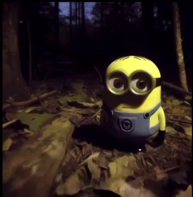 A toy minion sits in the dark woods, alluding to the "@dollclubnft" mint on the 24th. This image likely represents the desire to collect NFTs from the collection.