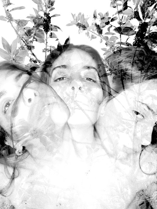 A black and white artistic photograph featuring multiple overlapping faces of three people blended together with imagery of leafy plant branches in the background.