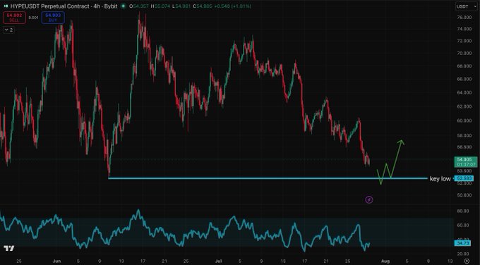 A TradingView 4-hour candlestick chart of the HYPE/USDT perpetual contract shows a recent price bounce near a key low of $53.48, with an RSI indicator at the bottom.