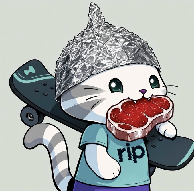 A cartoon cat wearing a tinfoil conspiracy hat carries a skateboard on its shoulder while holding a red heart-shaped steak in its mouth, wearing a shirt that says "rip."

The image humorously visualizes the speculative "tin foil hat" theories in the post about Hypurr NFT bonuses, token burns, and potential Season 3 rewards — embodying the meme-style skepticism around unconfirmed crypto airdrop speculation.