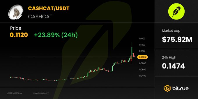 A Bitrue trading chart shows CASHCAT/USDT at $0.1120, up 23.89% in 24 hours with a market cap of $75.92M and a 24H high of $0.1474, visually reinforcing the post's claim of CASHCAT's significant 24-hour price surge.