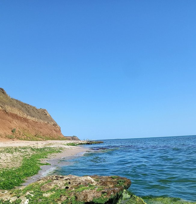 A coastal landscape featuring a reddish rocky cliff meeting a blue ocean, with green algae-covered rocks visible in the clear shallow water.