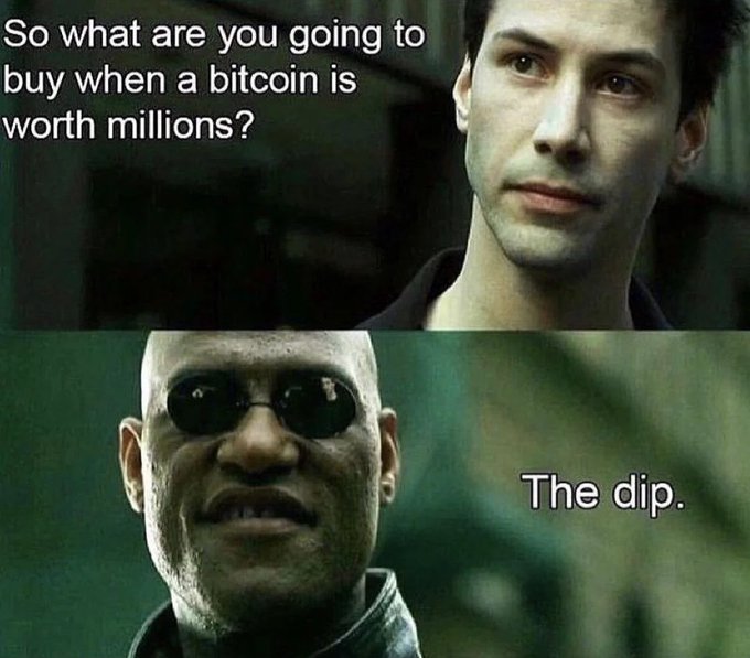 A Matrix movie meme with Neo asking 'So what are you going to buy when a bitcoin is worth millions?' and Morpheus responding 'The dip.'