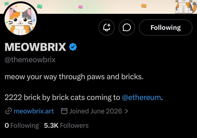 A Twitter/X profile for 'MEOWBRIX' (@themeowbrix) with a verified checkmark, describing 'meow your way through paws and bricks' and announcing '2222 brick by brick cats coming to @ethereum'.