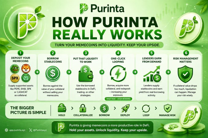 An infographic titled 'HOW PURINTA REALLY WORKS' explaining a 6-step crypto DeFi process: deposit memecoins, borrow stablecoins, use liquidity to work, one-click looping, lenders earn from demand, and risk management.