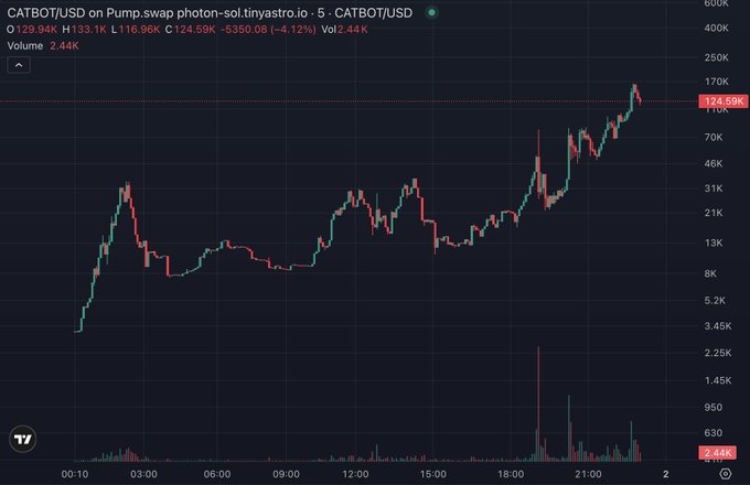 A candlestick graph of CATBOT/USD on Pump swap with O 129.94K, H 133.1K, L 116.96K, C 124.59K, showing a -4.12% change.