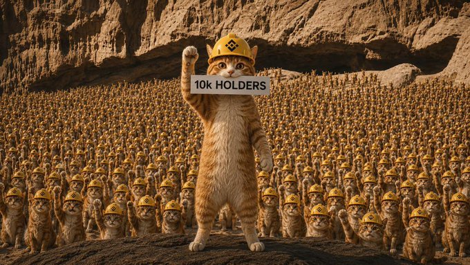 A giant cat wearing a yellow hardhat stands triumphantly with a raised fist above an army of identically helmeted cats, holding a sign reading "10K HOLDERS." The image visually reinforces the post's celebration of the $BNBCAT token reaching 10,000 holders in 48 hours, depicting the growing "army" of supporters behind the Binance-themed meme coin.