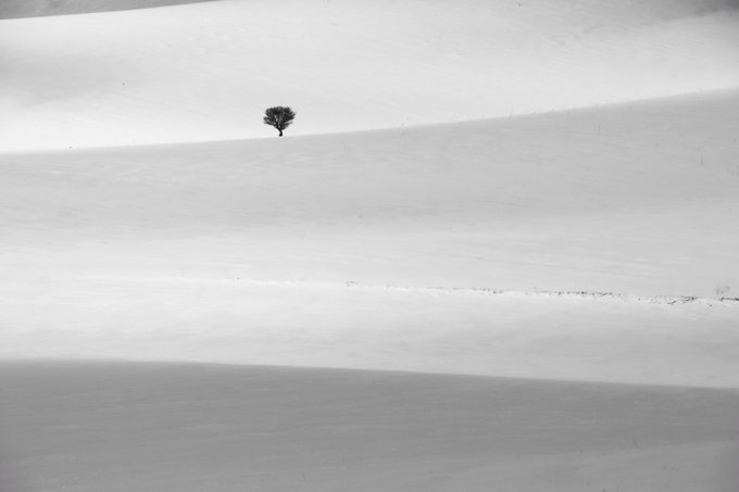 A black and white minimalist photograph featuring a single small tree silhouetted against a vast, rolling snowy landscape with subtle shadows.