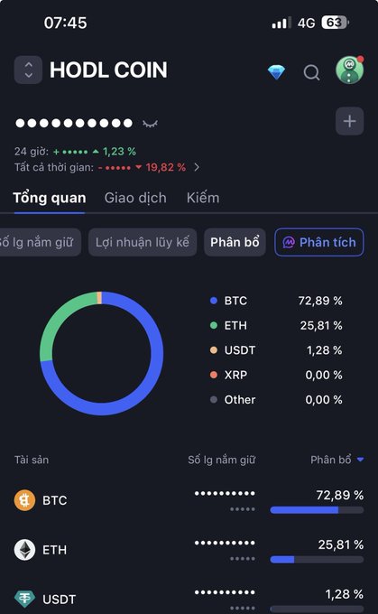 A cryptocurrency portfolio app screenshot for 'HODL COIN' showing a pie chart with BTC (72.89%), ETH (25.81%), and USDT (1.28%), with a 24-hour change of +1.23% and overall profit of +19.82%.