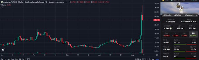 A stock chart displays Wuburax/WBN8 (Market Cap) on PancakeSwap, showing a dramatic price spike with candlesticks, alongside order book statistics and a Twitter link to 0x00001808...