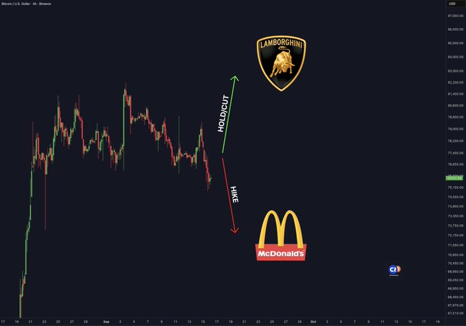 A Bitcoin/USD trading chart shows a recent price dip with annotations indicating a 'HODL OUT' arrow pointing up toward a Lamborghini logo and a 'WAIT' arrow pointing down toward a McDonald's logo.