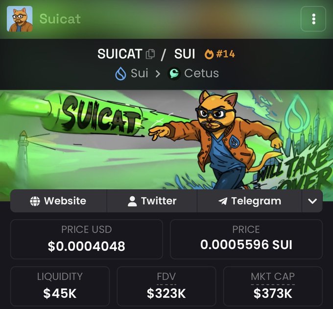 A cryptocurrency tracking webpage for "Suicat" (SUICAT/SUI #14) on the Sui network via Cetus, showing a price of $0.0004048, a market cap of $373K, and an illustration of an orange cat character.