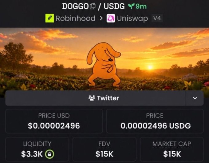 A cryptocurrency swap interface for DOGGO/USDG via Robinhood and Uniswap V4, showing a price of $0.00002496, liquidity of $3.3K, FDV of $15K, and market cap of $15K.