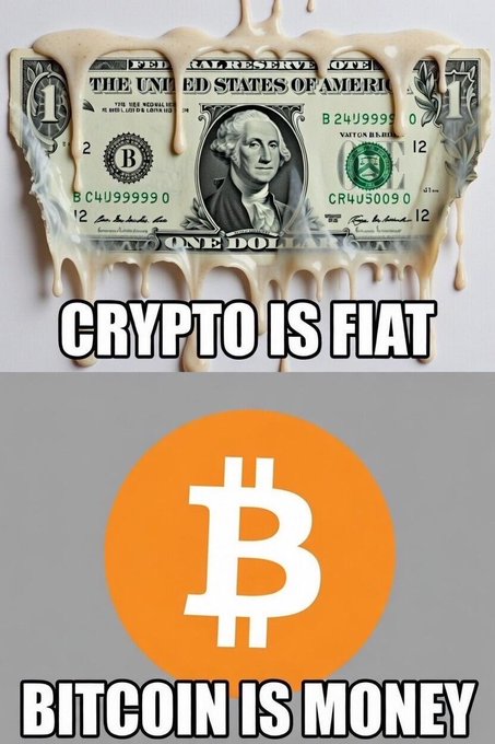A two-panel meme contrasts a melting US one-dollar bill labeled "CRYPTO IS FIAT" with the orange Bitcoin logo labeled "BITCOIN IS MONEY," reinforcing the post's "Bitcoin only" stance by positioning BTC as sound money separate from fiat currencies.