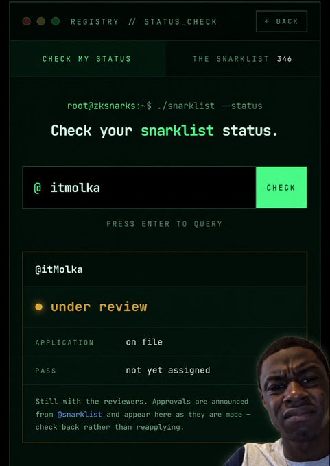 A status check page titled 'REGISTRY // STATUS_CHECK' showing a snarklist entry for '@itMolka' marked as 'under review' with application 'on file' and pass 'not yet assigned.' A man's face is overlaid in the bottom right corner.