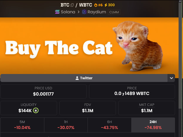 The image shows a cryptocurrency meme coin called "Buy The Cat" (BTC/WBTC ticker) on Solana via Raydium, displaying an orange kitten alongside key stats: a price of $0.00177, $144K liquidity, $1.1M market cap, and significant 24-hour decline of -74.98%. The post highlights this as a Bitcoin-paired meme coin launched on StonkFun where holders can earn BTC rewards, drawing comparisons to the $ZCAT lore.