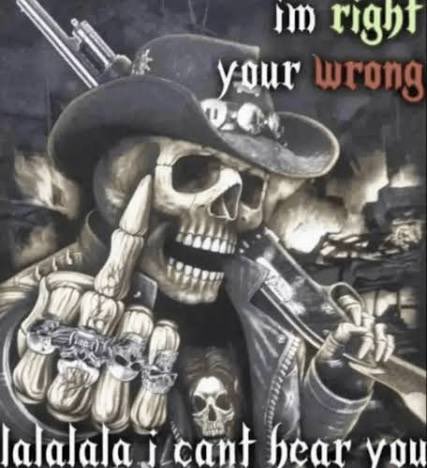 A stylized skull wearing a cowboy hat and holding guns is featured in a meme with the text "im right your wrong" and "lalalala i can't hear you" displayed at the top and bottom.
