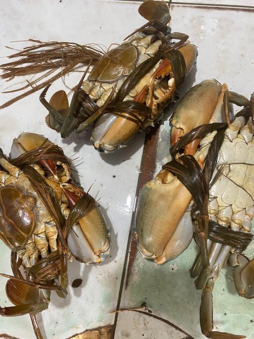 Several crabs are bound with leaves and string, displayed on what appears to be a market surface.