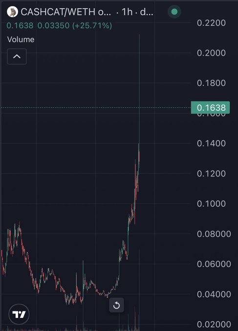 A candlestick chart of CASHCAT/WETH on the 1h timeframe showing the token's price at 0.1638 with a +25.71% gain, displaying a dramatic vertical spike upward that aligns with the post's celebration of ROBINHOOD listing CASHCAT as the poster's "best trade of the year" with 5x returns from 40M to 210M market cap.