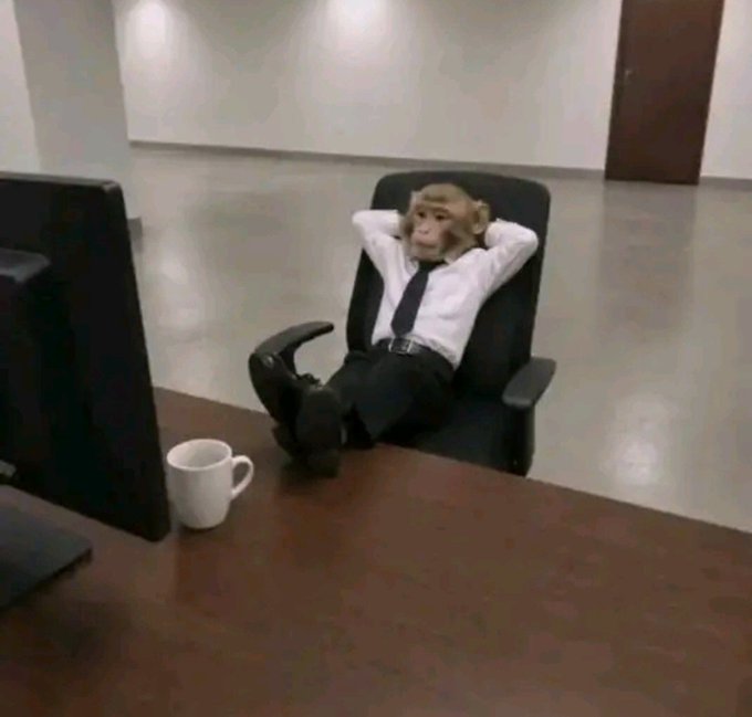 A monkey dressed in a business shirt and tie lounges back with hands behind its head and feet propped on an office desk, beside a computer monitor and coffee mug. The image humorously captures the "gm fellas, new week, unlimited cook" mood — the relaxed, self-assured energy of kicking off the week like a boss.
