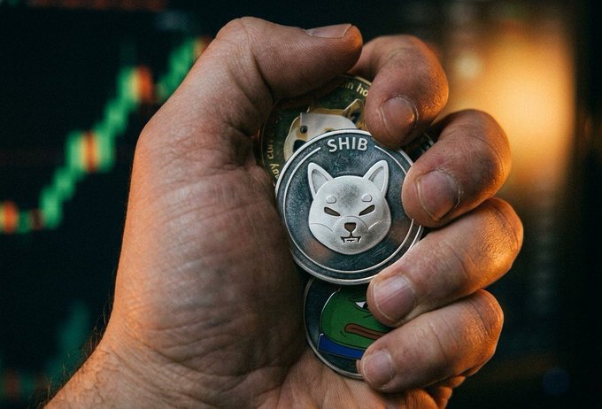 A hand clutches physical SHIB memecoins alongside other crypto tokens, with a green candlestick chart glowing in the background—visually reinforcing the post's theme of bullish momentum and diamond-handed conviction in Shiba Inu despite doubts about the memecoin sector.
