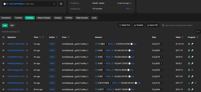 A cryptocurrency wallet tracking interface displaying the address "0x41E...138 COPPERWU" with a balance of -569.346, showing 80 active transactions including SWAP actions for tokens like WISOL and Zee.