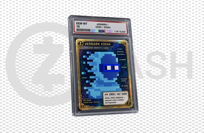 A graded PSA 10 GEM MT trading card featuring a blue pixel-art 'zkSNARK #2044' character is displayed in a protective plastic slab against a patterned background with a faint 'ZK SN' watermark.