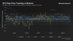 The image displays a graph illustrating Bitcoin Perpetual Income (Perpetual Income) against Btc Price Tracking (Price Tracking). The graph shows an upward trend, with Bitcoin Perpetual Income increasing while the price of Bitcoin remains relatively stable. This suggests that there may be positive correlation between these two variables, indicating that as the value of Bitcoin increases, so does its potential for generating income through mining or trading.
