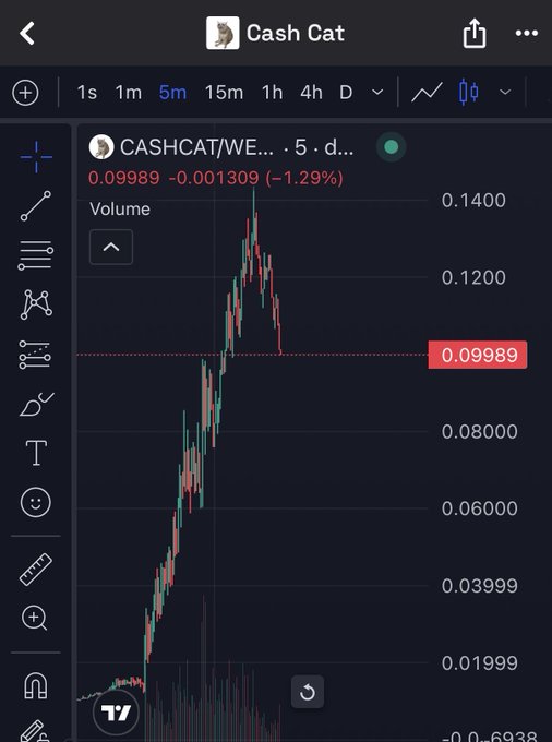 A candlestick chart shows the ticker CASHCAT/WE with a current price of $0.09989, down 1.29%. The chart reflects a recent sharp increase followed by a notable drop, aligning with the user's concerns about potential manipulation and a coming downturn.