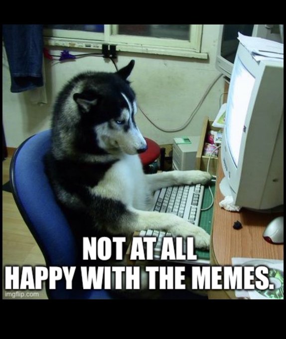 A husky sits at a computer desk with paws on the keyboard, captioned "NOT AT ALL HAPPY WITH THE MEMES," appearing to scrutinize online content—including likely crypto hype posts about $DogSell—with a skeptical, disapproving expression.
