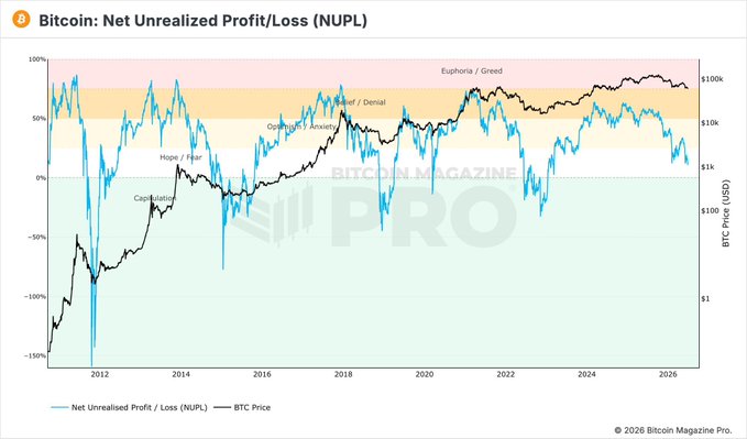 This chart from Bitcoin Magazine Pro displays Bitcoin's Net Unrealized Profit/Loss (NUPL) overlaid with BTC price from 2012 to 2026, showing how the metric fluctuates between sentiment zones of Capitulation, Hope/Fear, Optimism/Anxiety, Belief/Denial, and Euphoria/Greed, currently sitting around 50% near the $100k price level. The image supports the post's claim of "more pain and downside" by showing NUPL trending downward from euphoric highs, suggesting the market is cooling and vulnerable to further correction.