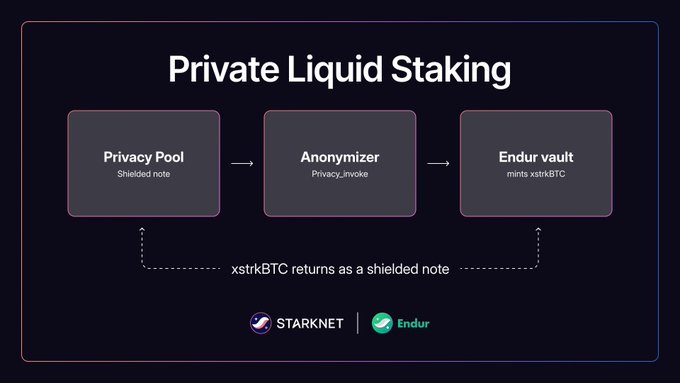 A diagram titled 'Private Liquid Staking' showing a flow from Privacy Pool (Shielded note) through Anonymizer (Privacy_invoke) to Endur vault (mints xstrkBTC), with a note that xstrkBTC returns as a shielded note, branded with StarkNet and Endur.