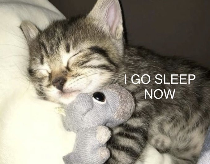 The image features a cute kitten sleeping next to a stuffed animal, possibly a teddy bear or a toy elephant. The text "I go sleep now" is written above the kitten's head, suggesting that the kitten is taking a nap while being held by someone else. This image could be related to a post about the importance of getting enough rest and relaxation in one's life, as it shows how even small acts like taking a nap can have a positive impact on our well-being.

The caption also includes some social media-related terms such as "quip" (a type of internet meme), "@useTria," and "@ARCTERMINAL." These terms might be used to describe the image or its context, but they don't have a direct connection to the main subject matter.