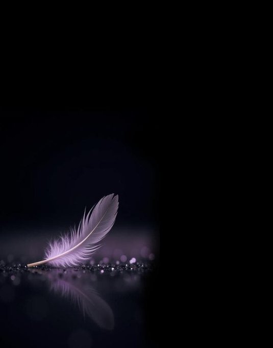 A delicate purple feather rests on a reflective dark surface against a black background, with soft bokeh particles scattered around it.