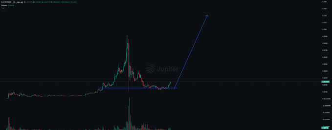The image shows a 1-hour candlestick chart for the CATE/USDT pair on Jupiter (decentralized exchange), displaying a sharp price spike followed by a pullback to a support level. An upward-pointing arrow highlights the trader's anticipated bullish move from the bottom, visually confirming the post's claim that the "bottom is in" and projecting a strong rally ahead.