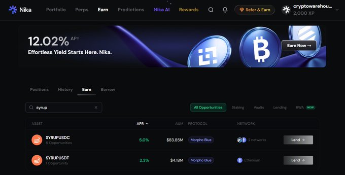 A cryptocurrency platform called Nika showing a 12.02% APY banner and a 'Earn' section listing SYRUPUSDC at 5.0% on Morpho Blue and SYRUPUSDT at 2.3% on Ethereum.