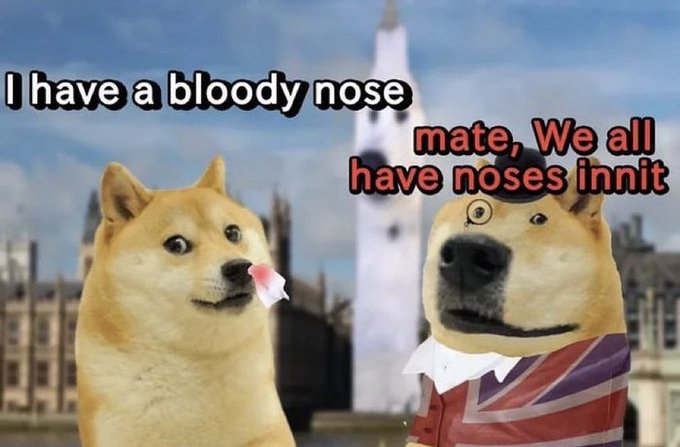 A meme featuring two Doge characters with text reading "I have a bloody nose" on the left and "mate, We all have noses innit" on the right, with Big Ben visible in the background.