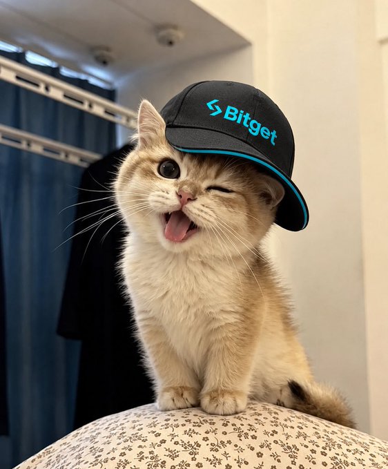 A winking cream-colored kitten wearing a black Bitget branded cap, sitting on a patterned surface indoors.