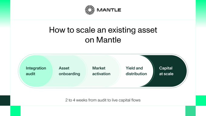 The image, branded with the Mantle logo, presents a four-stage process titled "How to scale an existing asset on Mantle," featuring interconnected phases: Integration audit, Asset onboarding, Market activation, and Yield and distribution, culminating in "Capital at scale" in just 2 to 4 weeks from audit to live capital flows. This visual reinforces the post's message by illustrating Mantle's streamlined pathway to expanding an asset's reach through deep liquidity, global users, CEX trading, and DeFi integration.