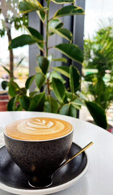 A speckled ceramic cup of coffee with leaf-patterned latte art sits on a black saucer with a spoon, set against a backdrop of lush green plants and bright windows.