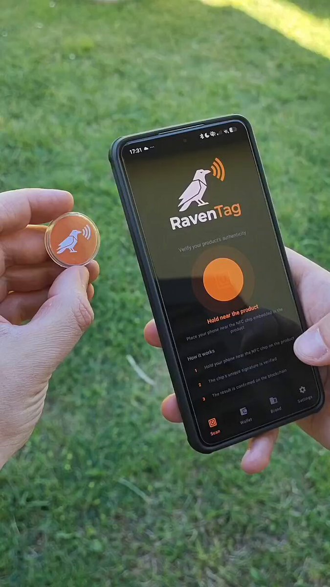 In the image, a person is holding an orange coin up to their phone screen, which displays the app "Raven Tag". The app appears to be related to tokenizing glass art or artwork. This suggests that the person might have used Ravencoin's tokenization feature on one of their pieces of glass art and is now sharing this information with someone else through a photo of their phone screen.

The image also shows a grassy area, indicating that it was taken outdoors.