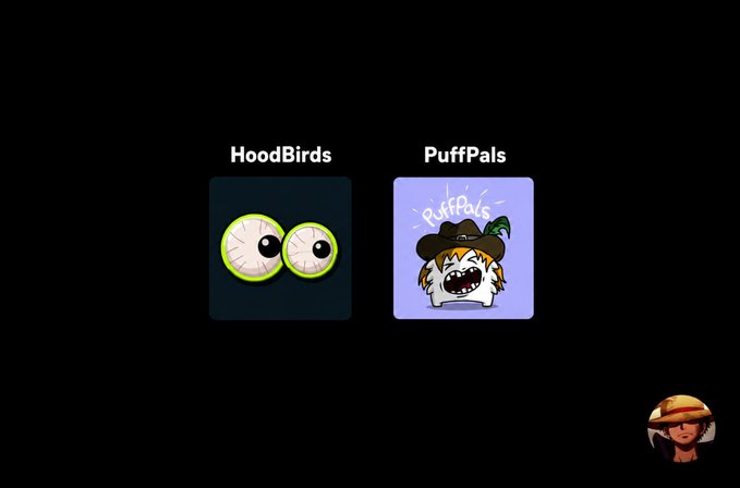 Two NFT project cards displayed on a black background: "HoodBirds" featuring a green cartoon bird with googly eyes, and "PuffPals" showing a fluffy character wearing a hat, illustrating the two free/cheap mint opportunities listed for the day.
