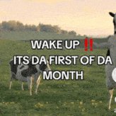 The image features two cows standing in a field with a caption that reads "Wake up its da first of da month". The background includes trees, suggesting an outdoor setting. The text also mentions a giveaway for June sol, which could be related to the cows or another event.