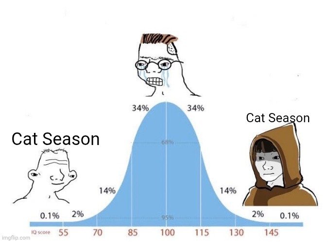 A normal distribution bell curve meme showing IQ scores ranging from 55 to 145, with the "Cat Season" wojak and hooded figure labeled as average (around 100) at 34% and 14% probabilities, while a crying soyjak represents the higher IQ tail. The image satirizes crypto traders who think they're "high-IQ" geniuses for chasing meme coins like the supposed $ETHCAT (referenced in the caption) when they actually fall squarely in the average "cat season" crowd following herd mentality rather than spotting the next PEPE.